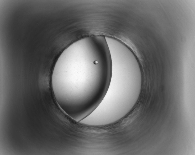 X0000088880393200706080745