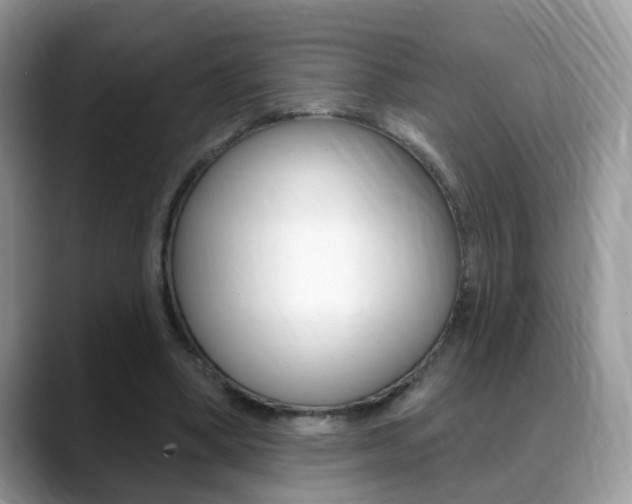 X0000088880394200706080745
