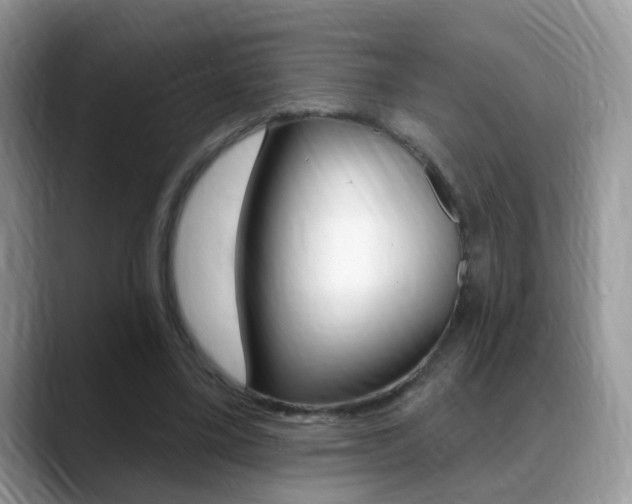 X0000088880395200706080745