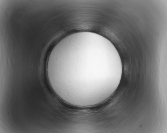 X0000088880396200706080745