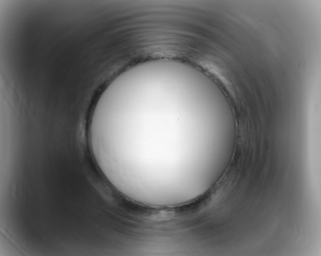 X0000088880398200706080745
