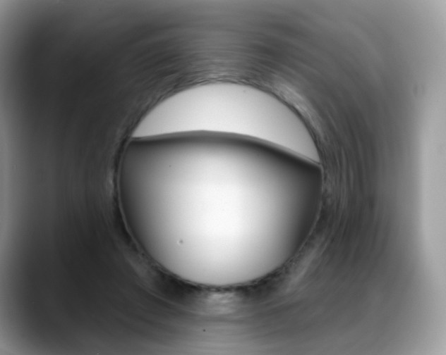 X0000088880401200706080745