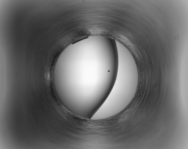 X0000088880405200706080745