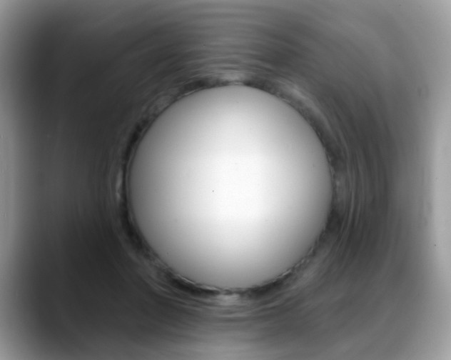 X0000088880406200706080745