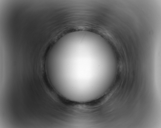 X0000088880408200706080745