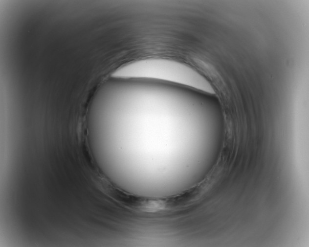 X0000088880409200706080745