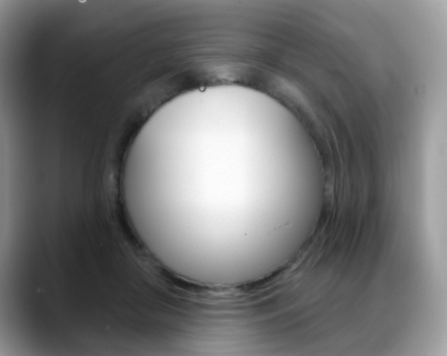 X0000088880410200706080745