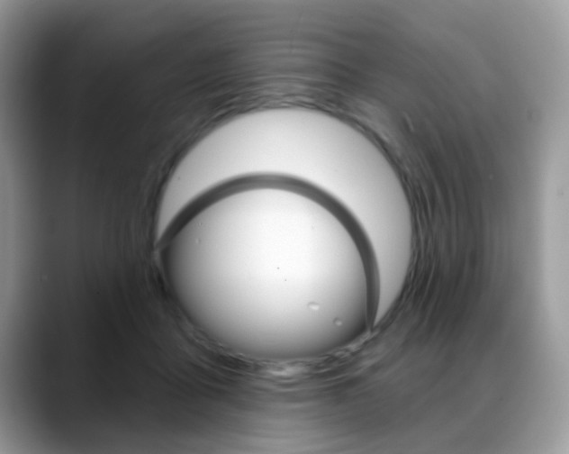 X0000088880411200706080745