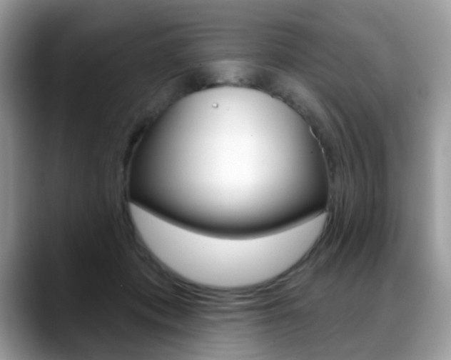 X0000088880413200706080745