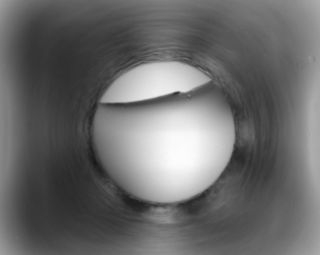 X0000088880414200706080745