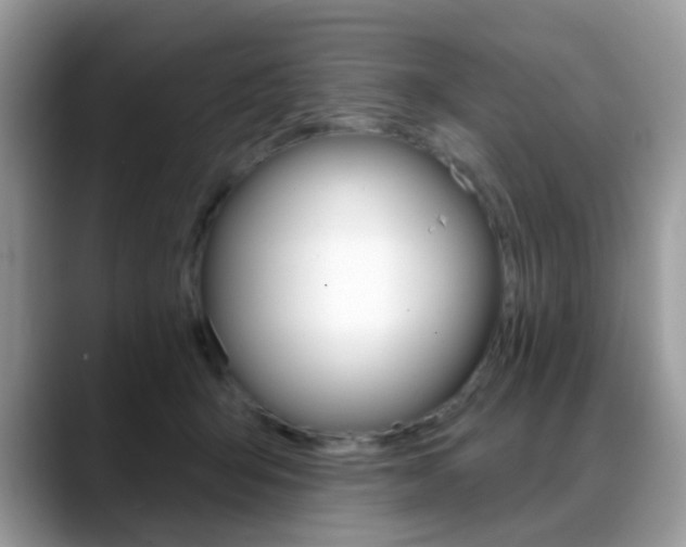 X0000088880415200706080745