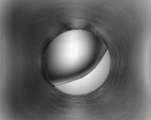 X0000088880416200706080745