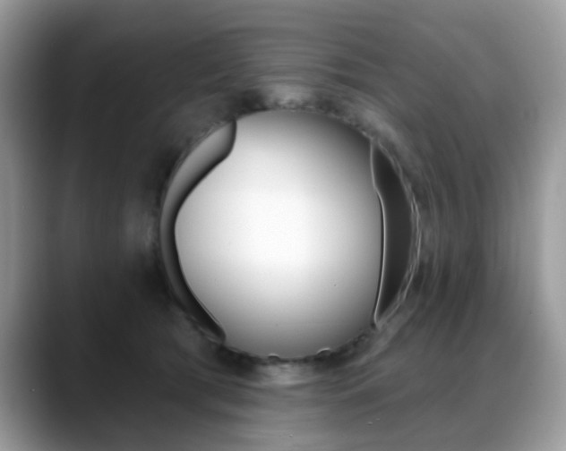 X0000088880417200706080745