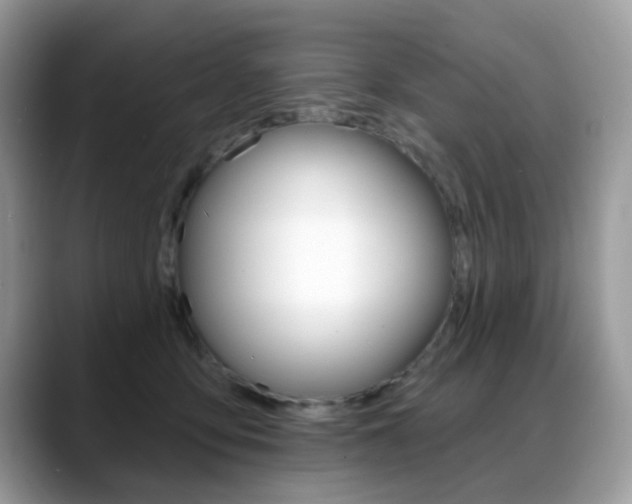 X0000088880419200706080745