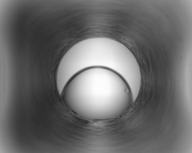 X0000088880423200706080745