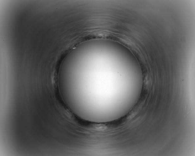 X0000088880424200706080745