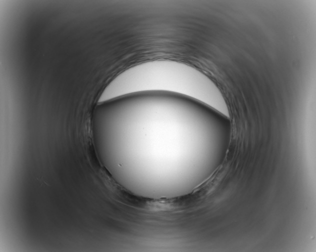 X0000088880425200706080745