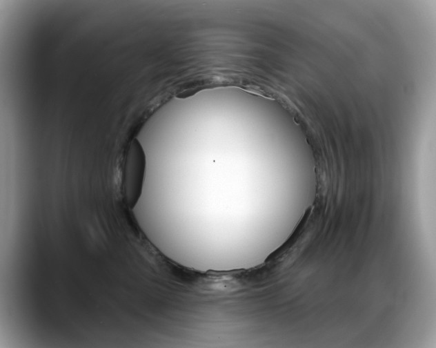 X0000088880427200706080745