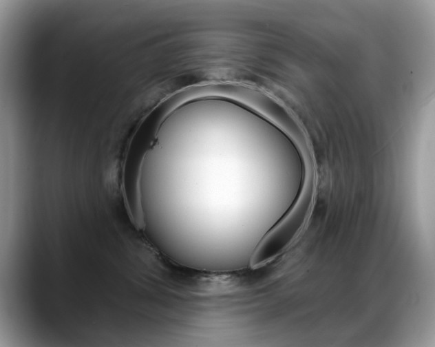 X0000088880428200706080745