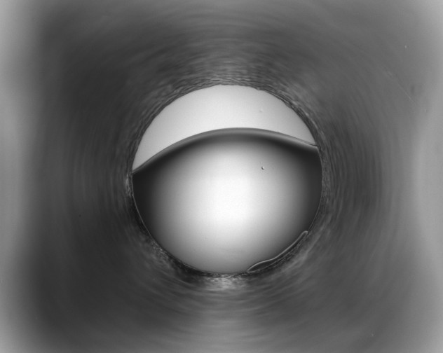 X0000088880432200706080745