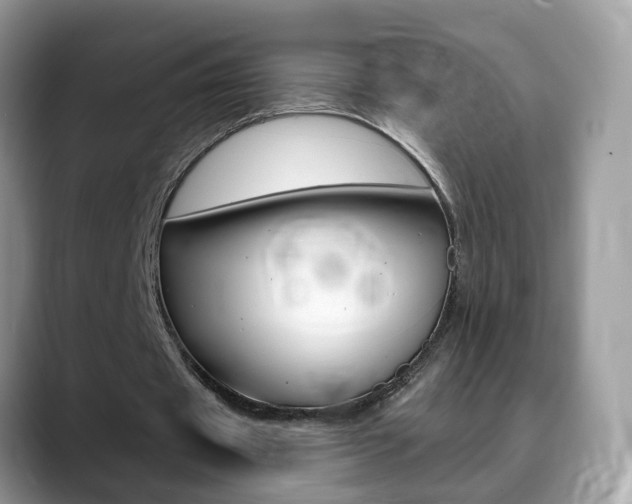 X0000088880433200706080744