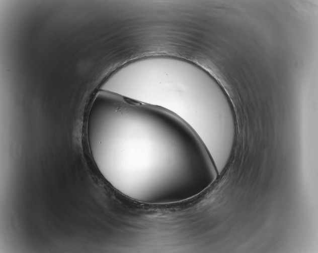 X0000088880434200706080744