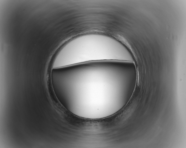 X0000088880435200706080744