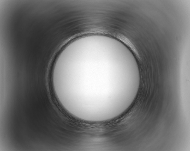 X0000088880436200706080744