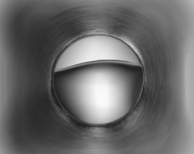 X0000088880437200706080744