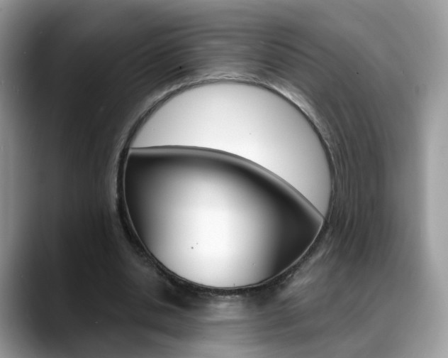 X0000088880438200706080744