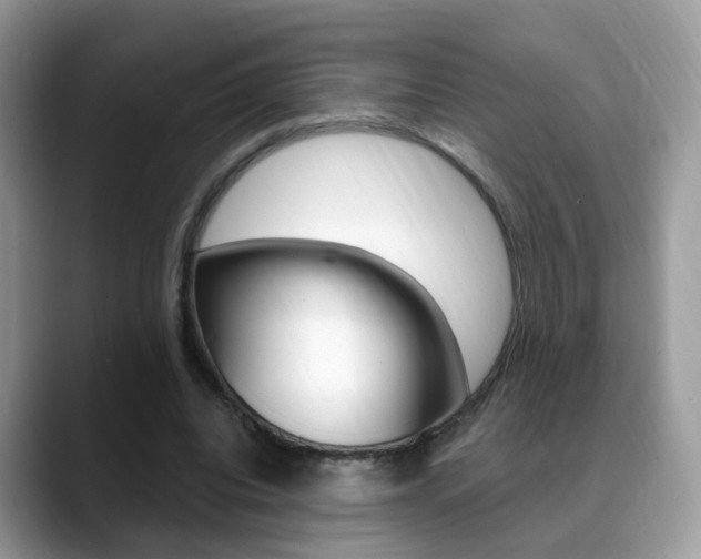 X0000088880440200706080744