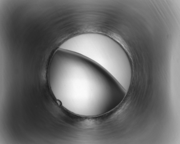 X0000088880441200706080744