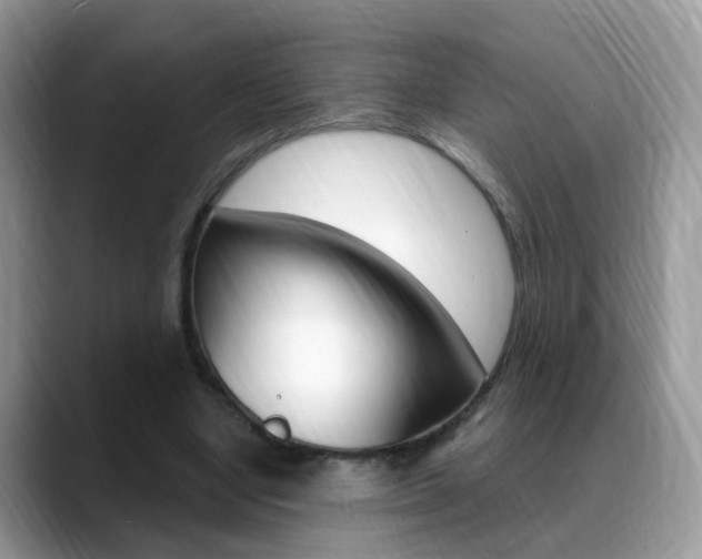 X0000088880442200706080744