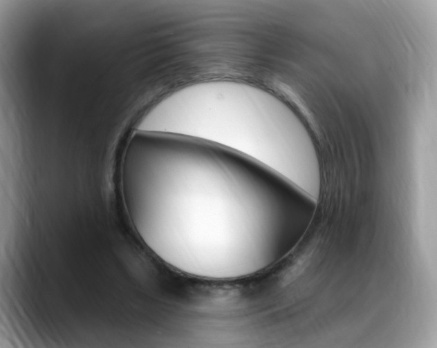X0000088880443200706080744
