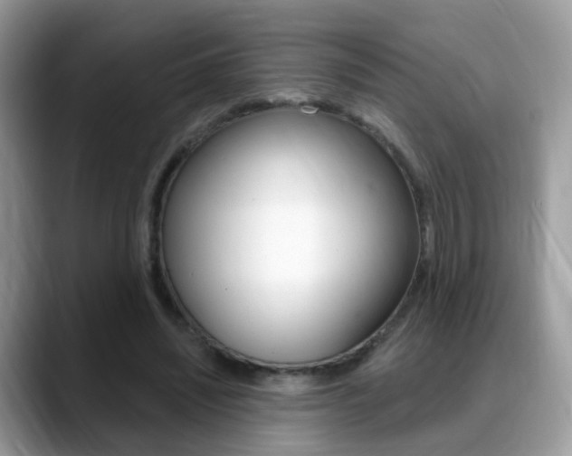 X0000088880444200706080744