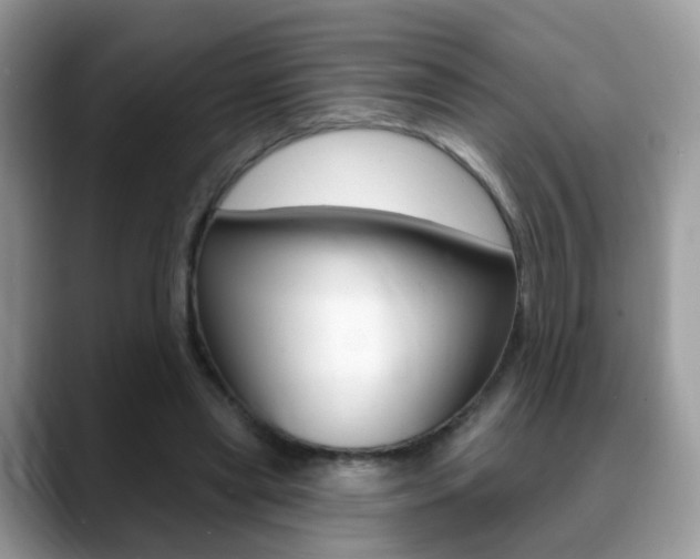 X0000088880445200706080744