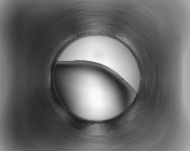 X0000088880446200706080744