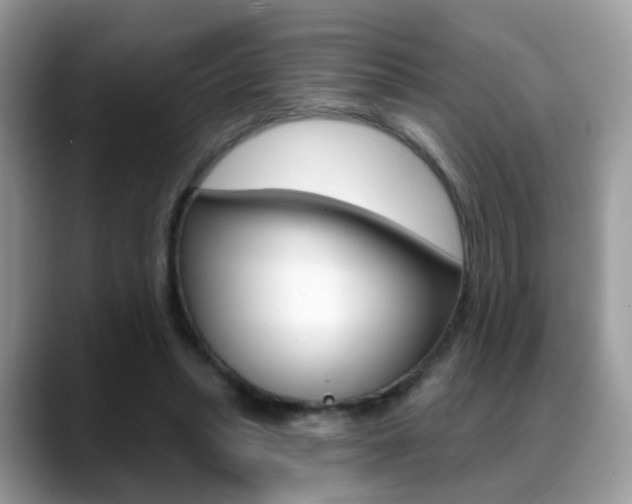 X0000088880447200706080744