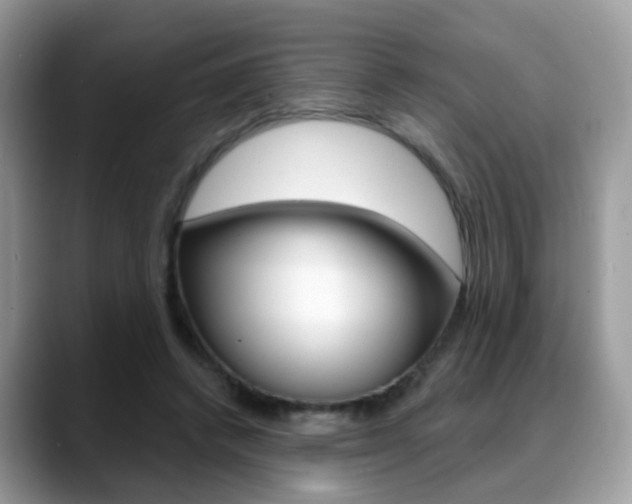 X0000088880448200706080744