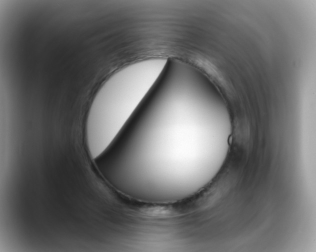 X0000088880449200706080744