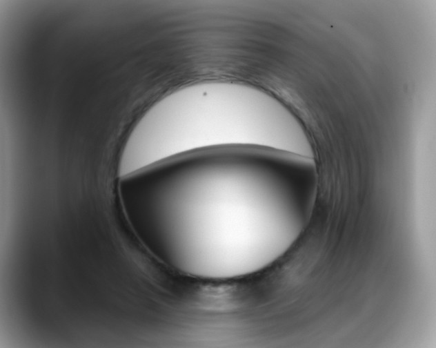 X0000088880450200706080744