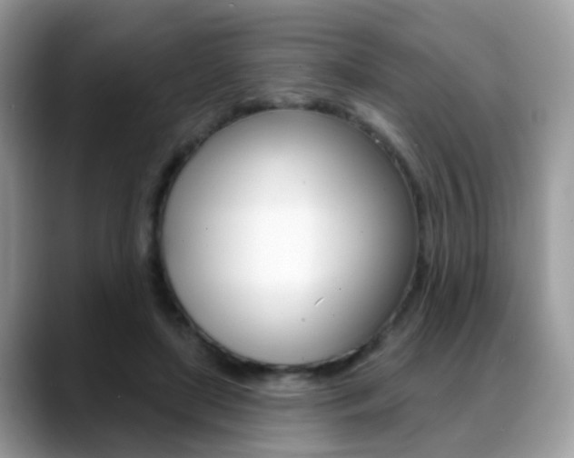 X0000088880451200706080744