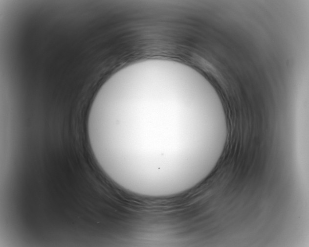 X0000088880452200706080744