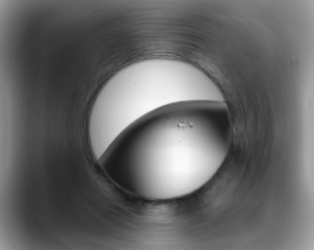 X0000088880454200706080744