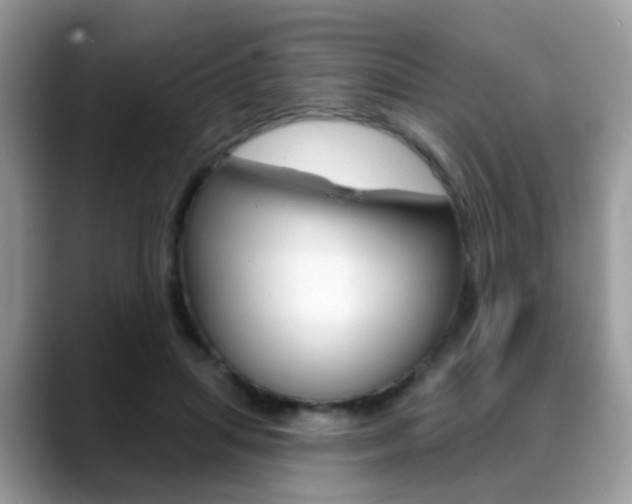 X0000088880455200706080744