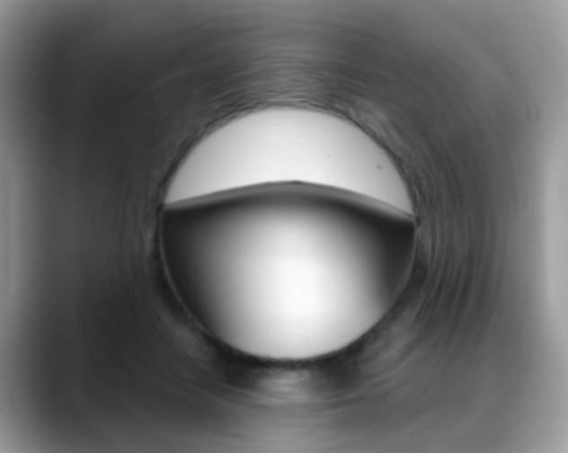 X0000088880458200706080744