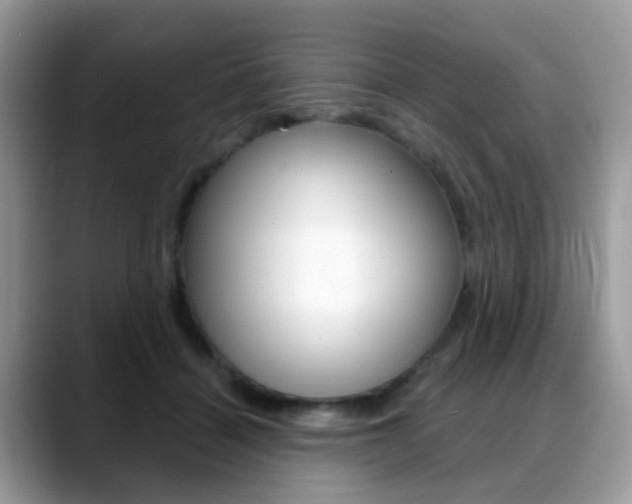 X0000088880460200706080744