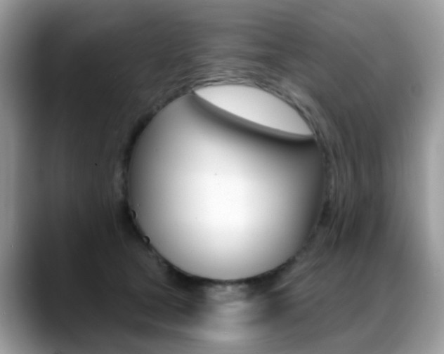 X0000088880465200706080744