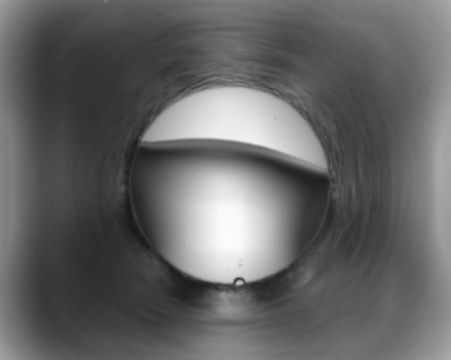 X0000088880466200706080744