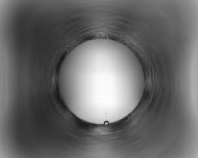 X0000088880468200706080744